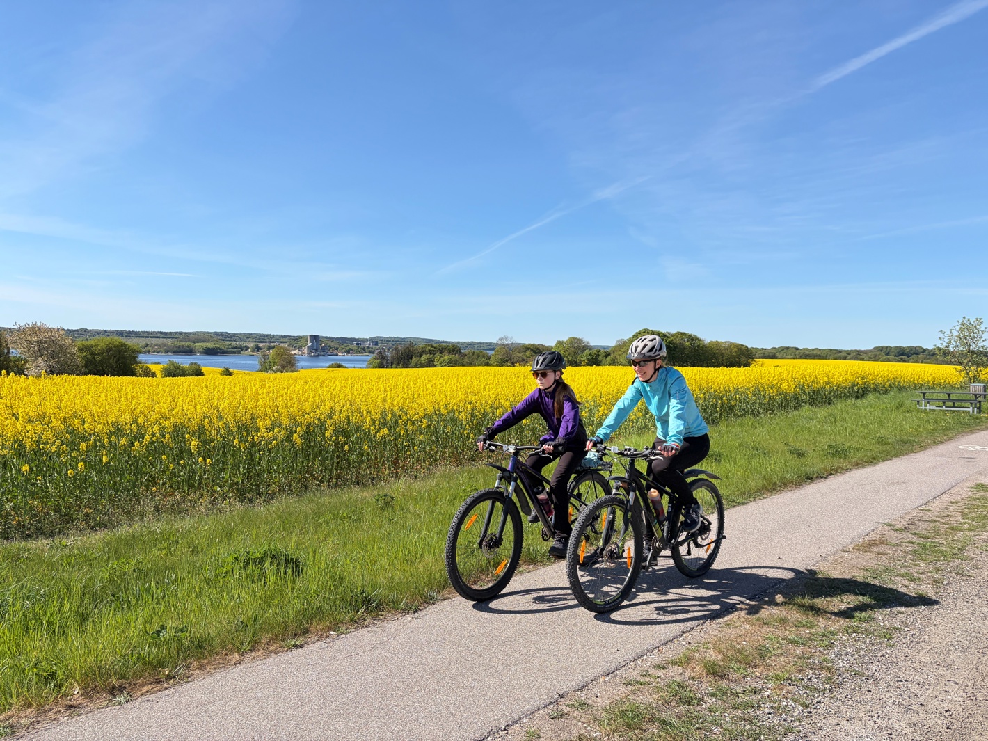 Mellem vive og østergårde - to piger cykler