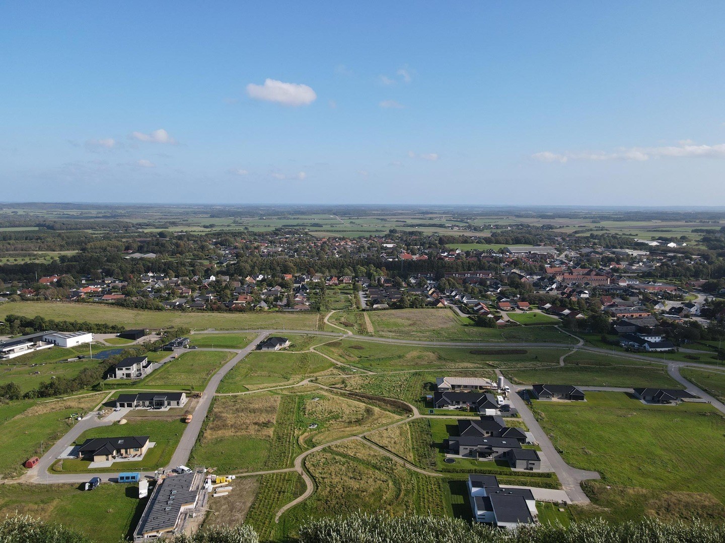 Luftfoto af parcelhus udstykningen Hesselholt Skovhuse i Arden. 